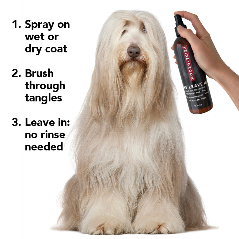 THE LEAVE IN Dog Detangling Leave in Spray — Detangling, Moisturizing & Conditioning Leave In Spray for Dogs