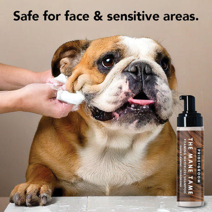 THE MANE TAME Waterless Dog & Cat Shampoo — No-Rinse Pet Grooming and Quick Cleaning