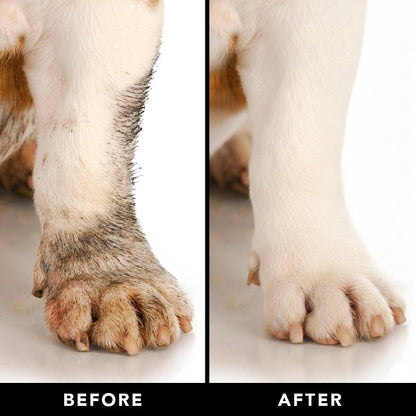 THE MANE TAME Waterless Dog & Cat Shampoo — No-Rinse Pet Grooming and Quick Cleaning