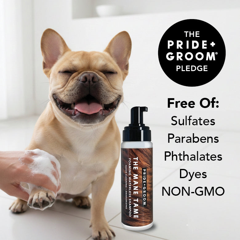 THE MANE TAME Waterless Dog & Cat Shampoo — No-Rinse Pet Grooming and Quick Cleaning