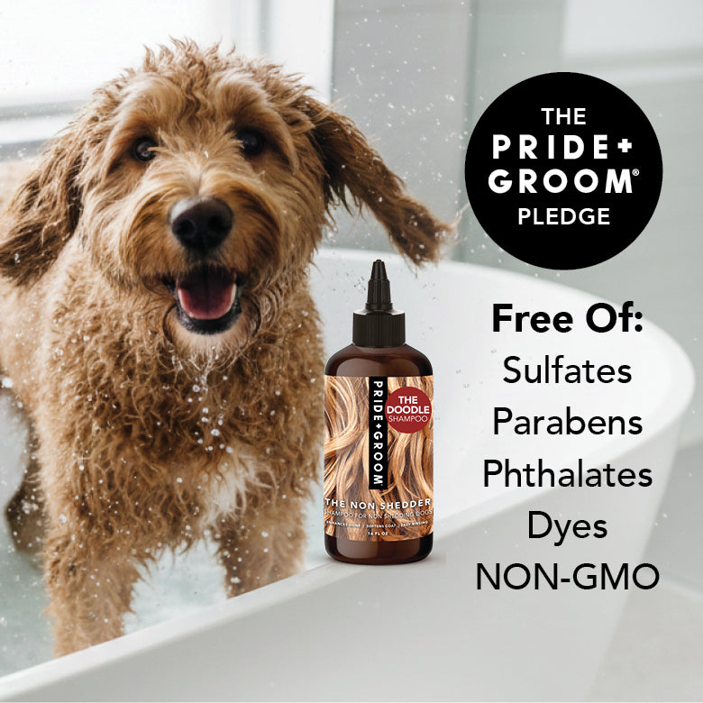 THE NON SHEDDER Dog Shampoo — Hydrating, Detangling, Hypoallergenic Formula for Doodles and all Non-Shedding Breeds