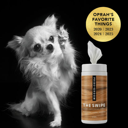 THE SWIPE Wet Pet Wipes — Alcohol-Free, Hypoallergenic Cleansing Wipes for Dogs & Cats