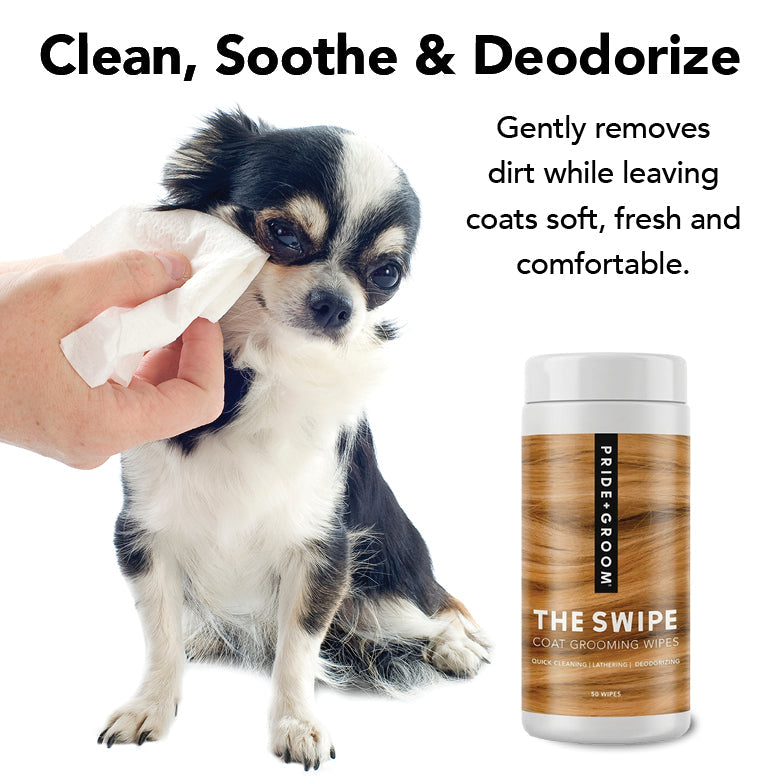 THE SWIPE Wet Pet Wipes — Alcohol-Free, Hypoallergenic Cleansing Wipes for Dogs & Cats