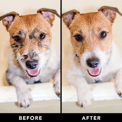 THE SWIPE Wet Pet Wipes — Alcohol-Free, Hypoallergenic Cleansing Wipes for Dogs & Cats