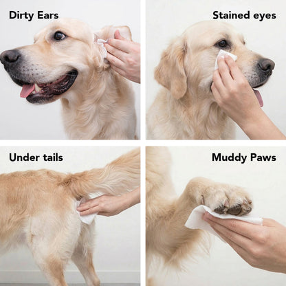 THE SWIPE Wet Pet Wipes — Alcohol-Free, Hypoallergenic Cleansing Wipes for Dogs & Cats