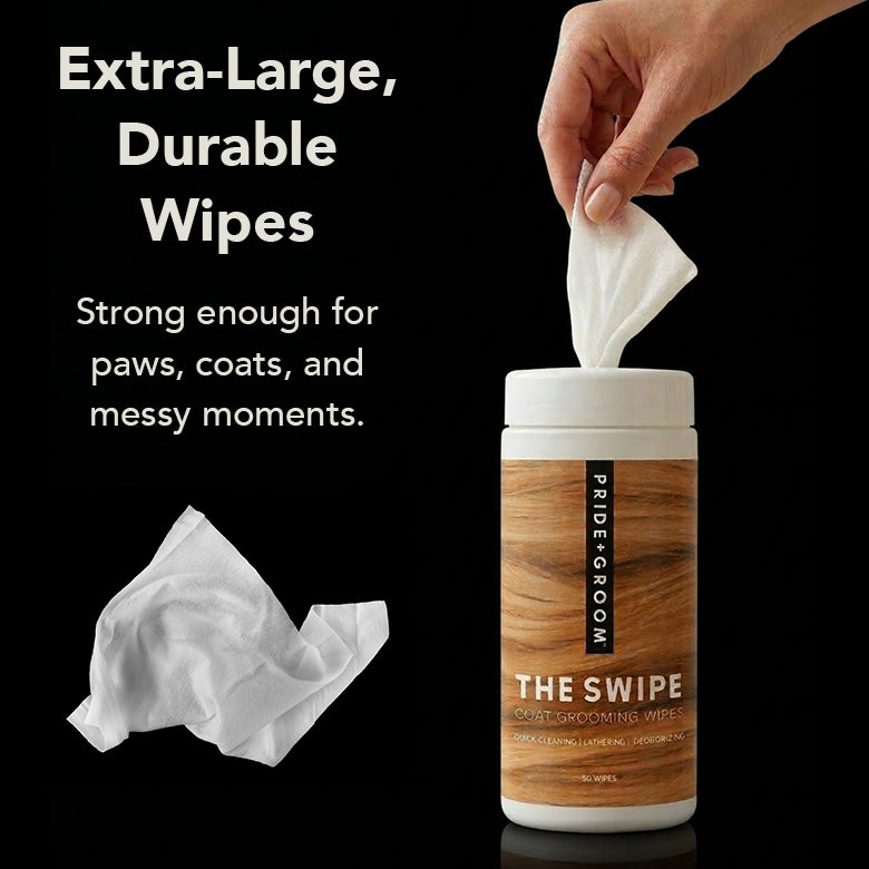 THE SWIPE Wet Pet Wipes — Alcohol-Free, Hypoallergenic Cleansing Wipes for Dogs & Cats