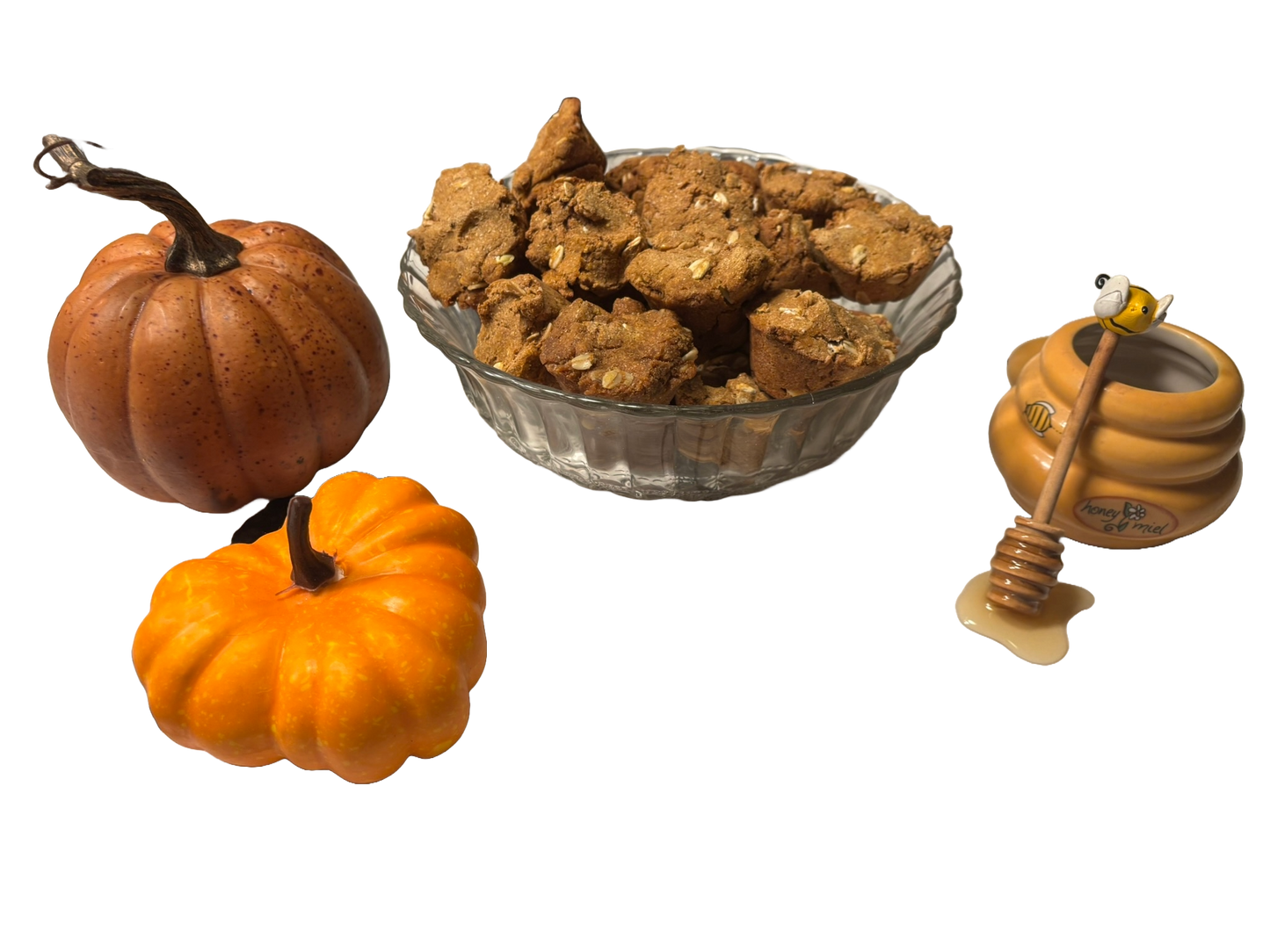 🐶 Welcome Home Puppy Treat Bundle 🐾