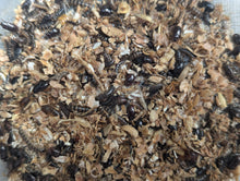 Live Organic Lesser Buffalo Mealworms
