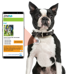 PetHub QR ID Pet Tag - KIss Me I'm Rescued