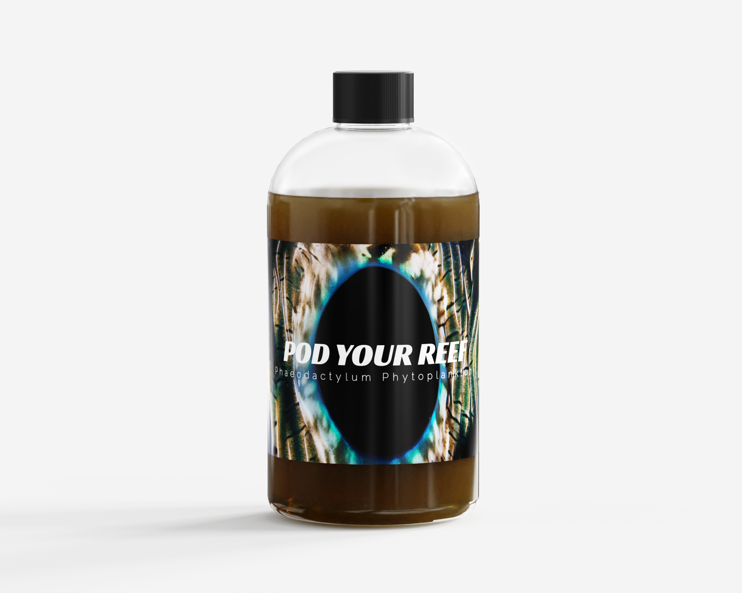 Phaeodactylum Tricornutum Phytoplankton