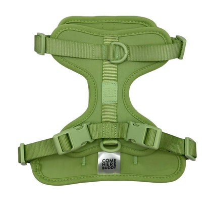 Harness