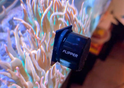 Flipper Pico 2 In 1 Aquarium Magnet Cleaner Replacement Blades 4 Pack