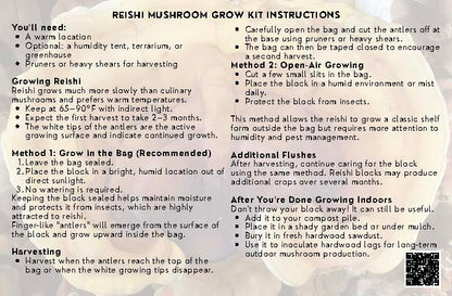 Reishi Mushroom Grow Kit