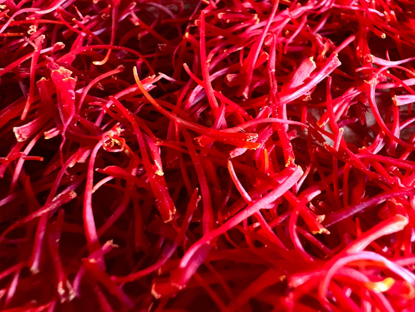 Try Saffron – 12 Large Corms