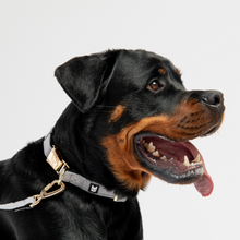 🌊 Aquafleece Dog Leash – Grey Water-Resistant Leash with Padded Handle