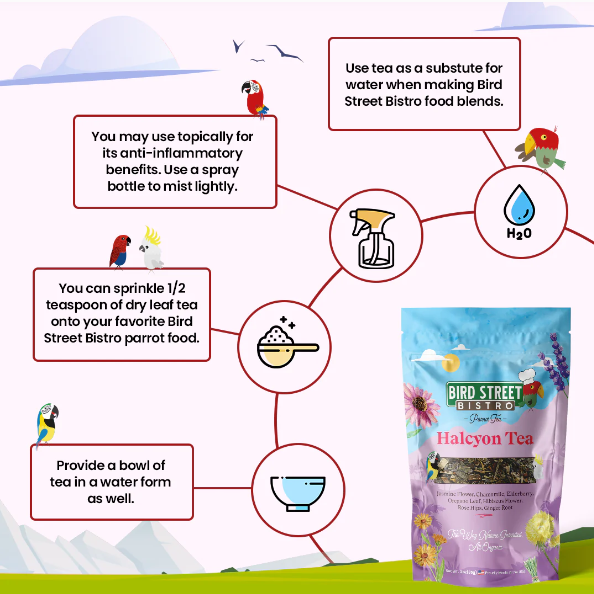 Parrot Food Super Pack