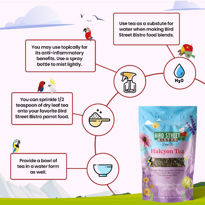 Parrot Food Super Pack