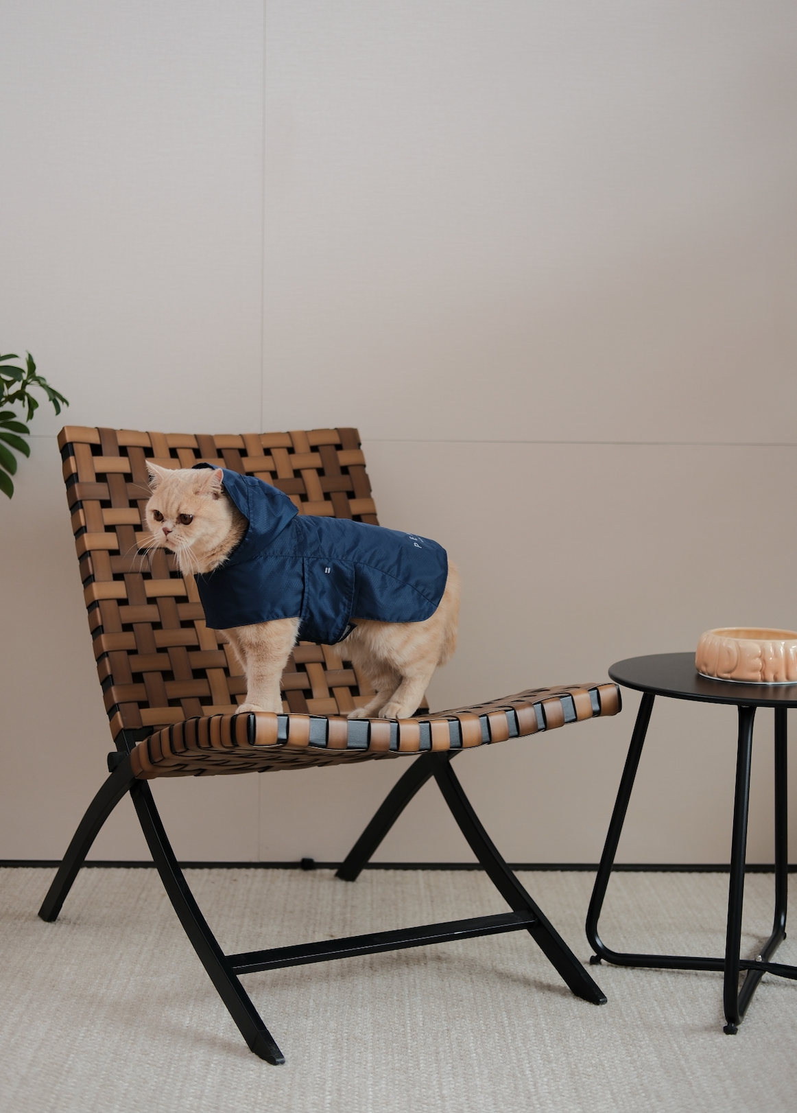 Capsule Raincoat - Blue
