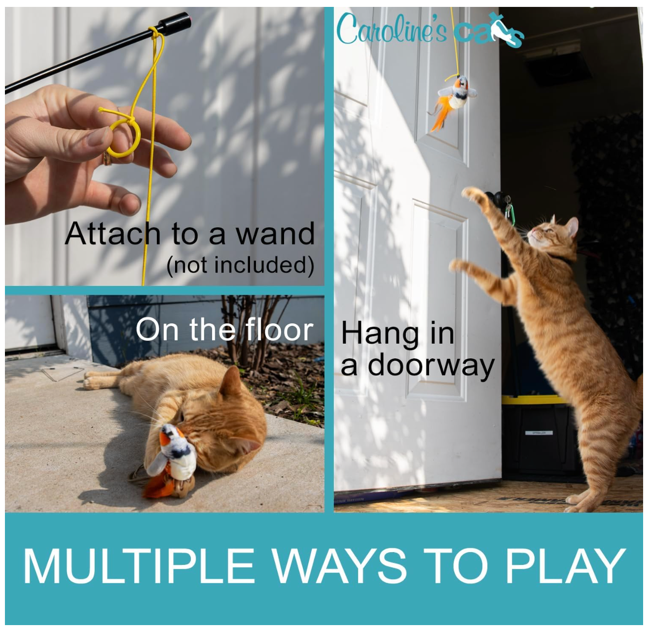 Carolines Cats Plush Chirping Bird Cat Toy On Elastic String With Doorway Hanger No Flimsy Suction Cups Real Electronic Avian Sounds