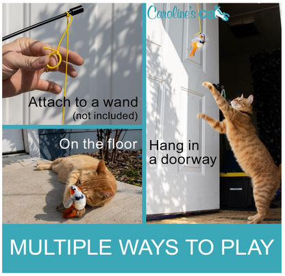 Carolines Cats Plush Chirping Bird Cat Toy On Elastic String With Doorway Hanger No Flimsy Suction Cups Real Electronic Avian Sounds