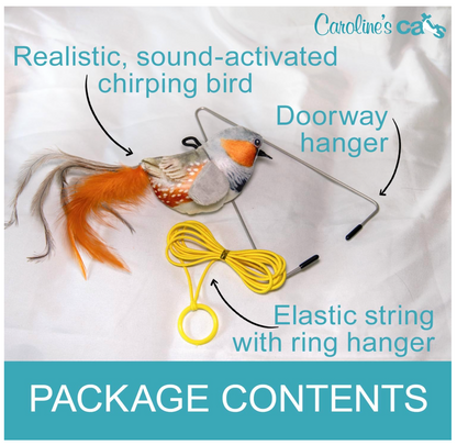 Carolines Cats Plush Chirping Bird Cat Toy On Elastic String With Doorway Hanger No Flimsy Suction Cups Real Electronic Avian Sounds