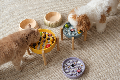 [Macaroni] Slow Feeder Dog Bowls - Yellow / Frozen Blue / Purple