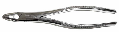 Dental Forcep #150AS