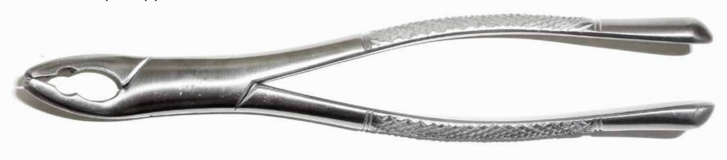 Dental Forcep #151AS