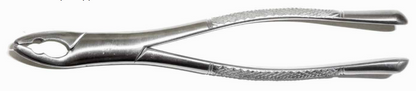 Dental Forcep #151AS