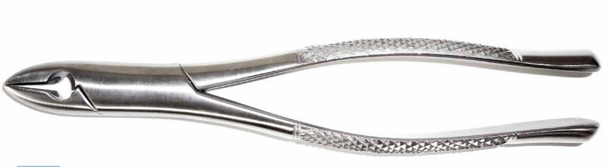 Dental Forcep #1