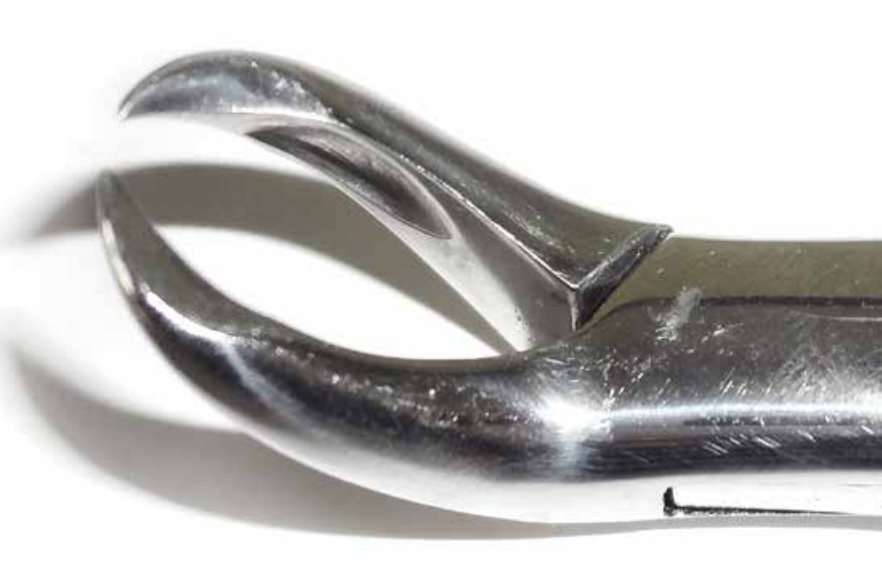Dental Forcep #3F