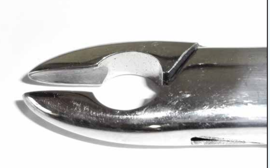 Dental Forcep #N10S