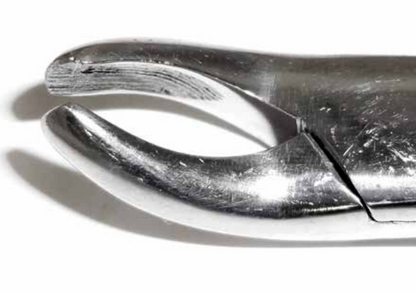 Dental Forcep #24