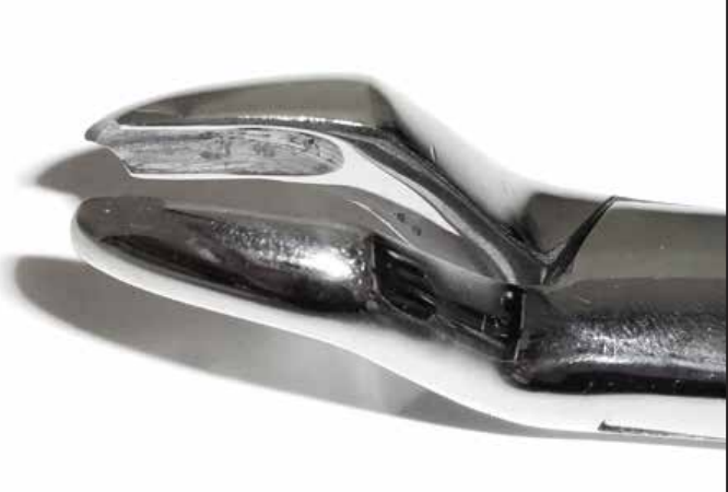 Dental Forcep #53L