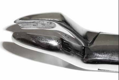 Dental Forcep #53L