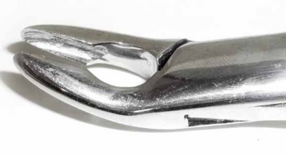 Dental Forcep #150A