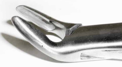 Dental Forcep #288