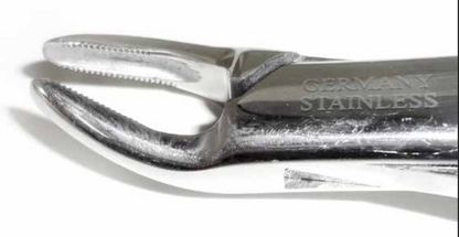 Dental Forcep #150