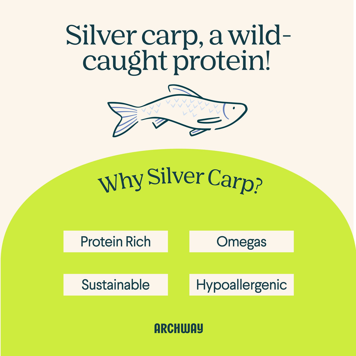 Silver Carp and Sweet Potato Biscuit