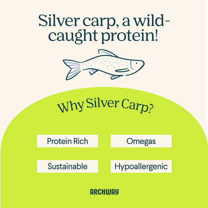 Silver Carp and Sweet Potato Biscuit