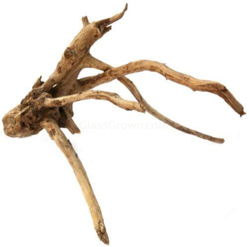 Spiderwood Driftwood Small (4-6")