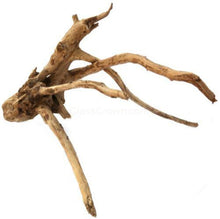 Spiderwood Driftwood Small (4-6")