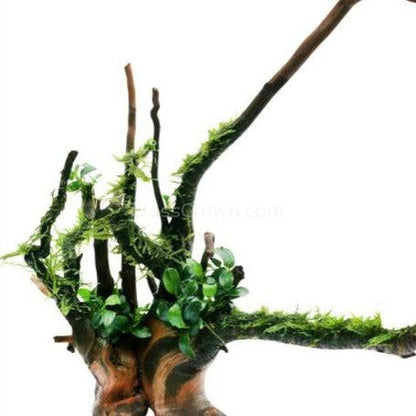 Spiderwood Driftwood Small (4-6")