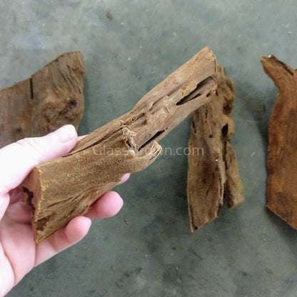Malaysian Driftwood Small (5-7")