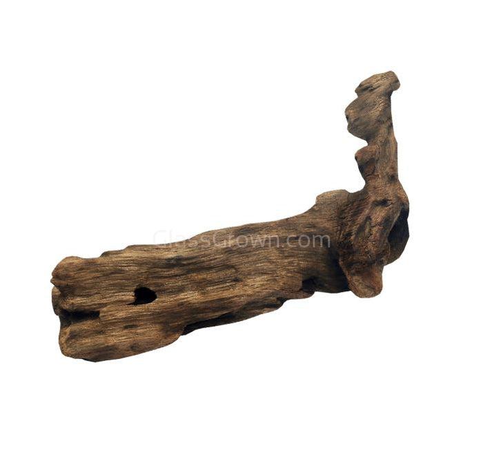 Mopane Congo Driftwood Small (6-10")