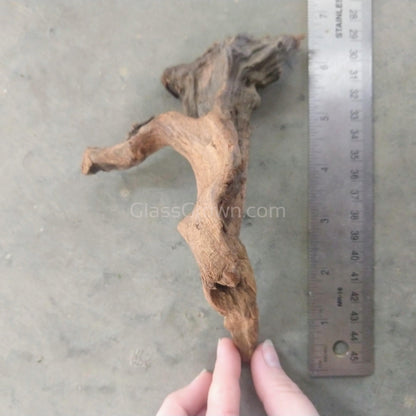 Pacific Driftwood Small (3-6")