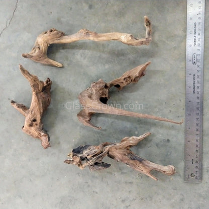 Pacific Driftwood Small (3-6")