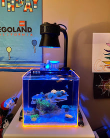 Kessil A360X/XE Light Shade