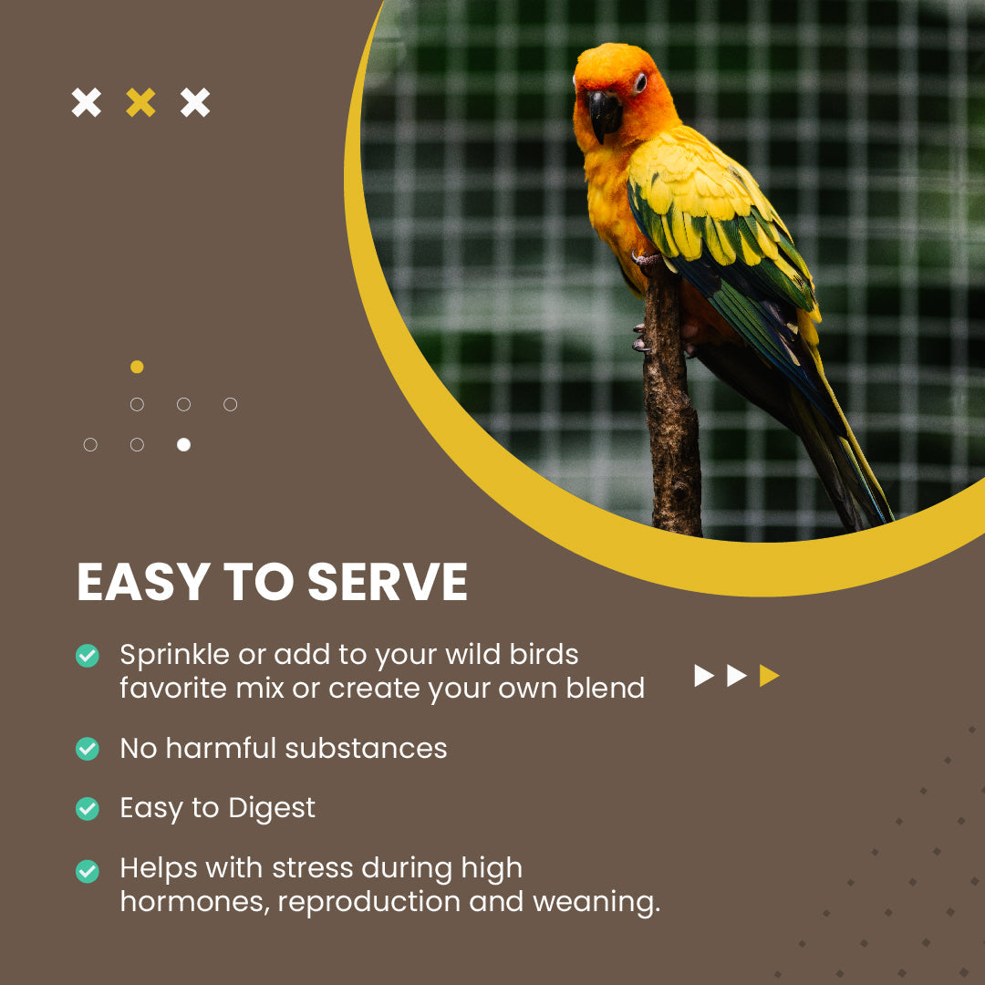 Organic Hulled Millet 5 Lbs