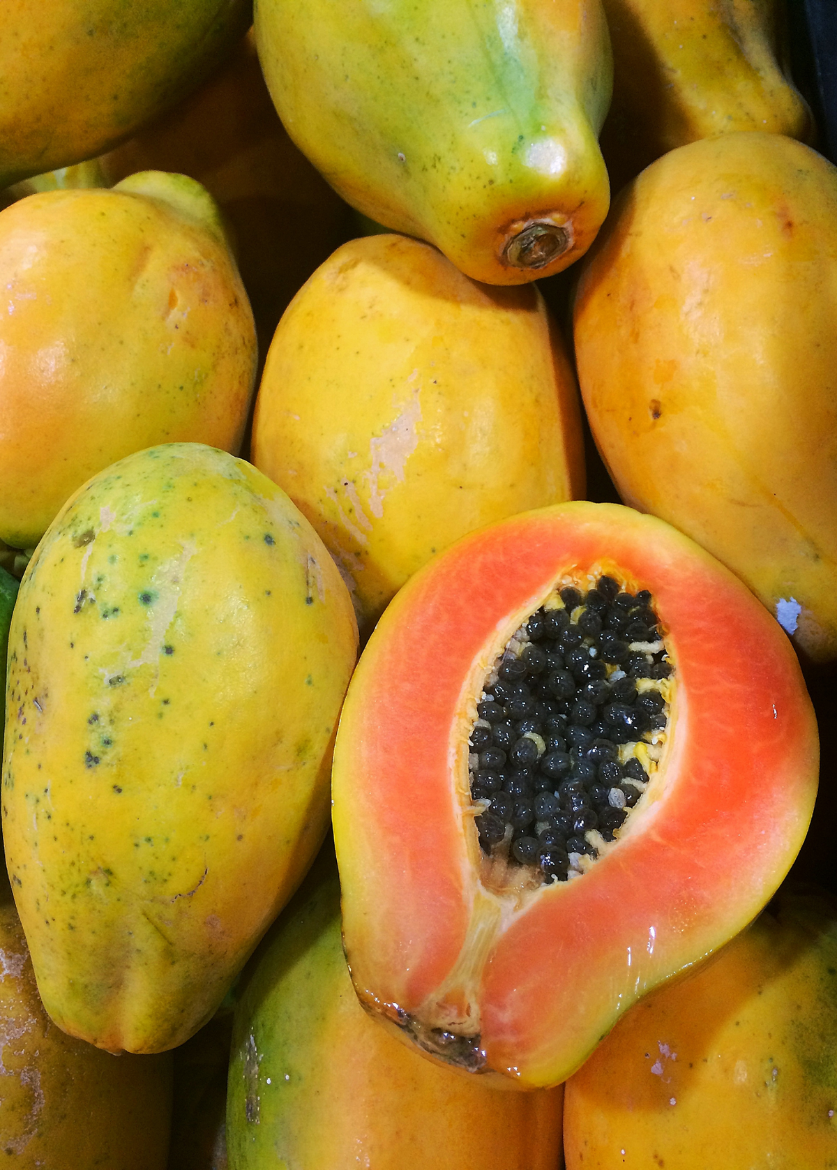 Sunset Solo Papaya Tree, Tropical Fruit, Carica papaya, Small to Medium Size, Sweet Orange Flesh